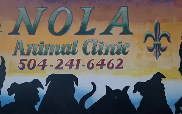NOLA Animal Clinic in New Orleans, LA