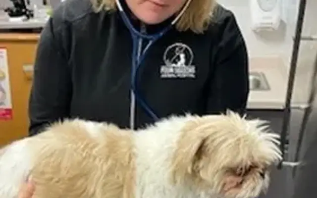 Four Seasons Animal Hospital in Winfield, IN