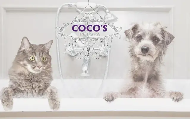 Coco's Pet Spa Lake In The Hills in Lake in the Hills, IL