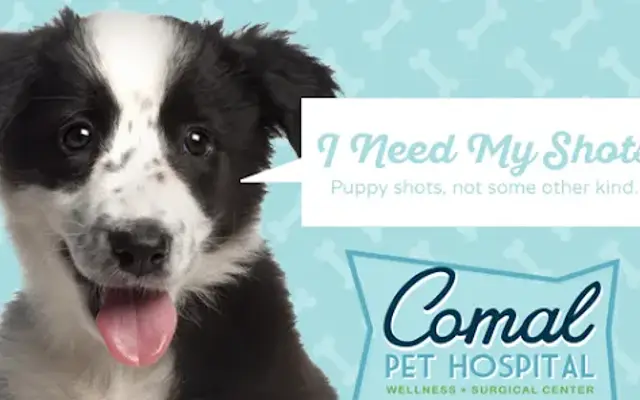 Comal Pet Hospital & Resort in New Braunfels, TX