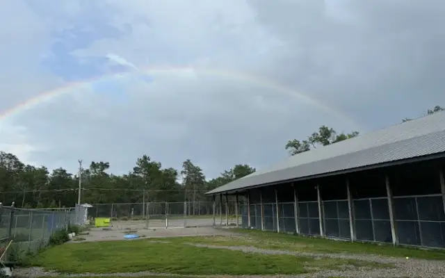 Indian River Pet Resort in Indian River, MI