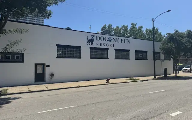 DoGone Fun Resort in Chicago, IL