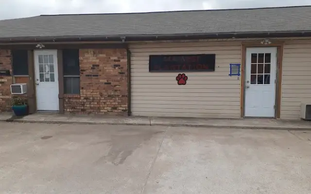 Dawn's Almost Human Pet Grooming in Clute, TX