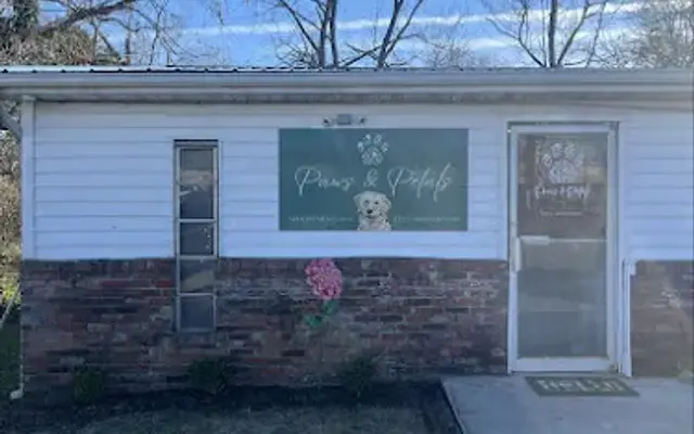 Paws and Petals Dog Grooming in Corryton, TN
