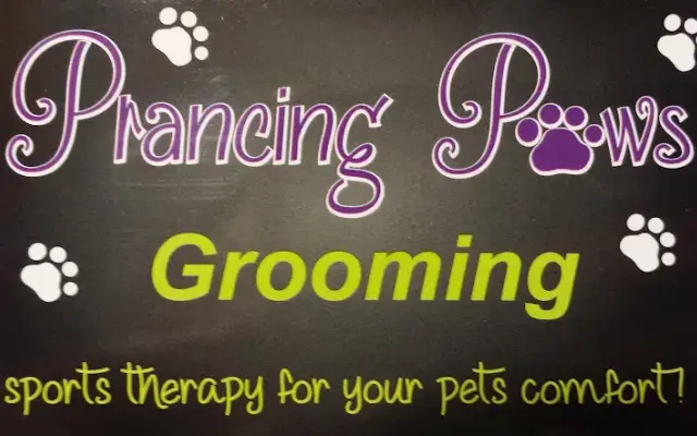 Prancing Paws Dog Grooming in Glen Carbon, IL