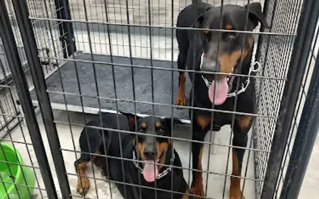Pet Oasis in Hurricane, WV