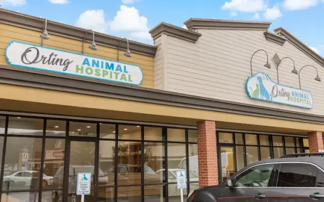 Orting Animal Hospital in Orting, WA
