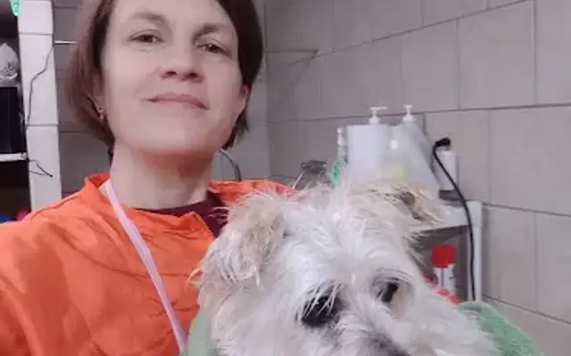 Hot Dogs Dog Grooming in Sharpsburg, MD