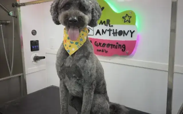 Mr. Anthony Pet Grooming Mobile in Orlando, FL