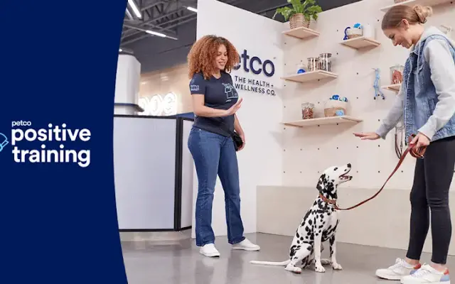 Petco Dog Training in Orlando, FL