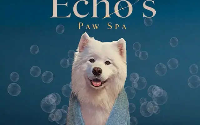 Echo's Paw Spa, LLC in Antioch, TN
