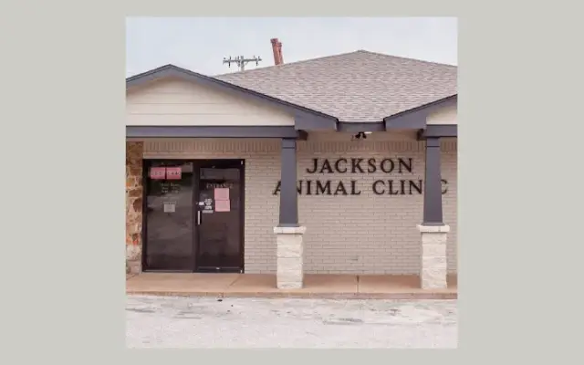 Jackson Animal Clinic in Jackson, TN