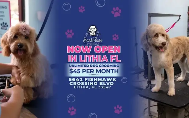 BarkSuds in Lithia, FL