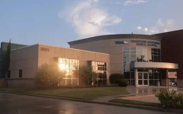 VCA Champions Northwest Animal Hospital in Spring, TX