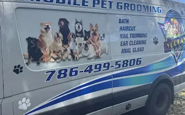 Yordan Pet Spa in Miami, FL
