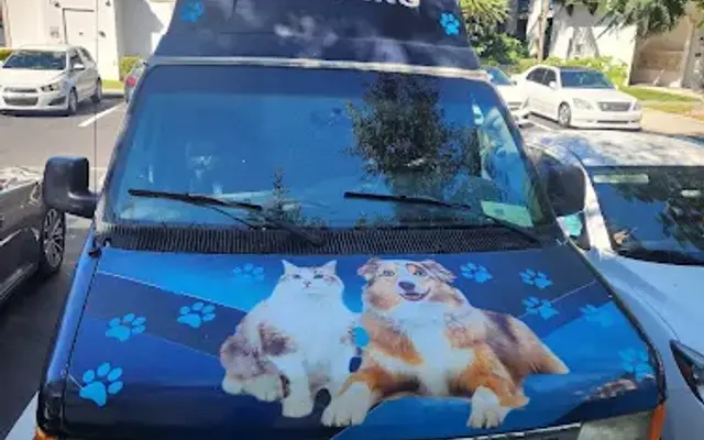 Splendid Pet Spa in Tamarac, FL