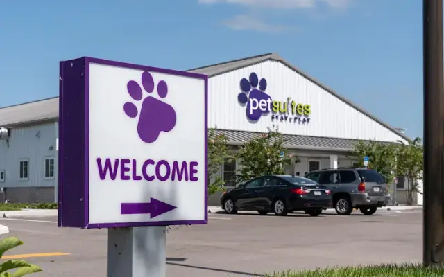 PetSuites Bradenton in Bradenton, FL