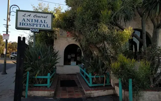 L A Central Animal Hospital in Los Angeles, CA