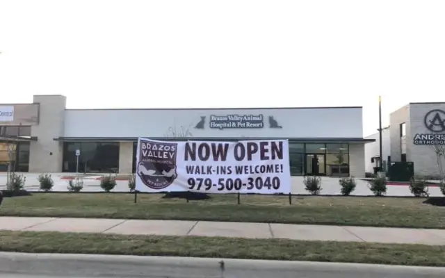 Brazos Valley Animal Hospital and Pet Resort in College Station, TX