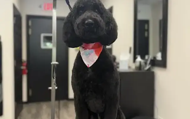 Bark & Bath Pet Salon in Owings, MD