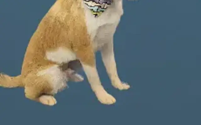 T and T Mobile Dog Grooming in Bartow, FL