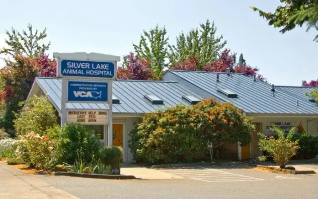 VCA Silver Lake Animal Hospital in Everett, WA
