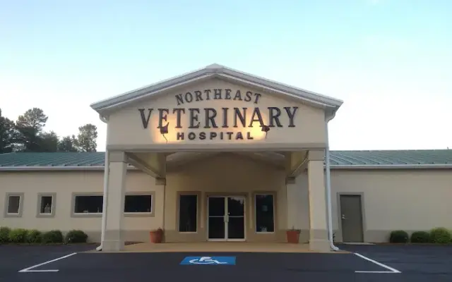 Northeast Veterinary Hospital in Cornelia, GA