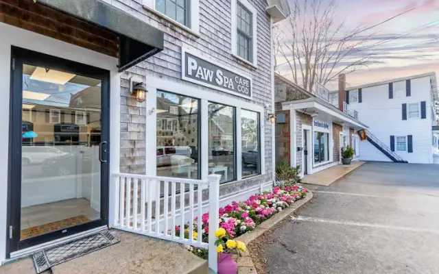 Paw Spa in Falmouth, MA