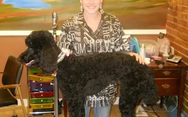 Groovy Grooming Pet Cuts in Redding, CA