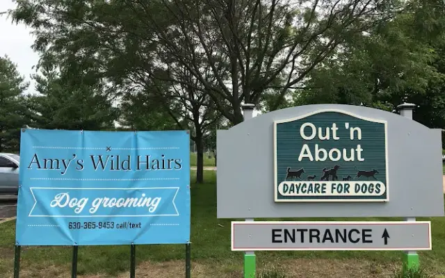 Out 'N About Dog Daycare & Boarding in Elburn, IL