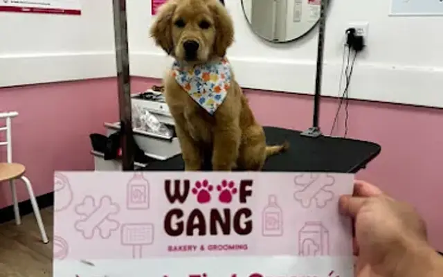 Woof Gang Bakery & Grooming Manlius in Fayetteville, NY