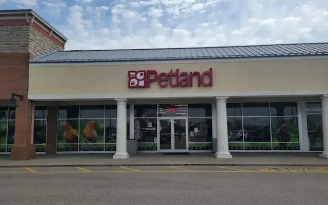 Petland Lewis Center in Lewis Center, OH