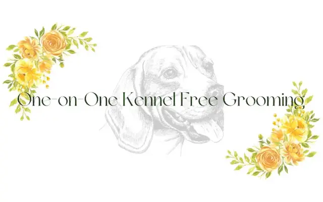 Critters and K9s Grooming Salon in Benton City, WA