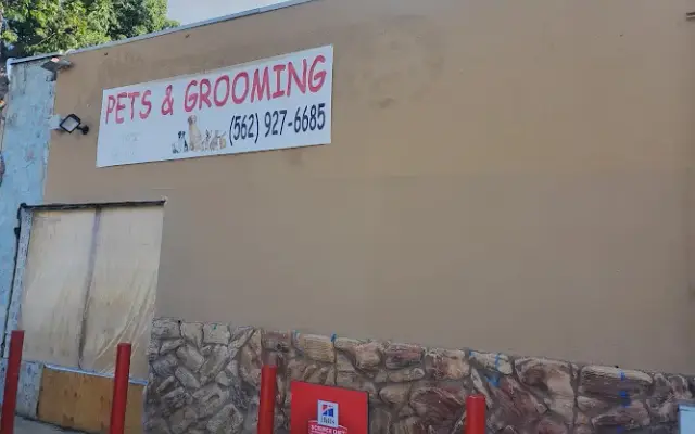 Pets & Grooming in Bell Gardens, CA