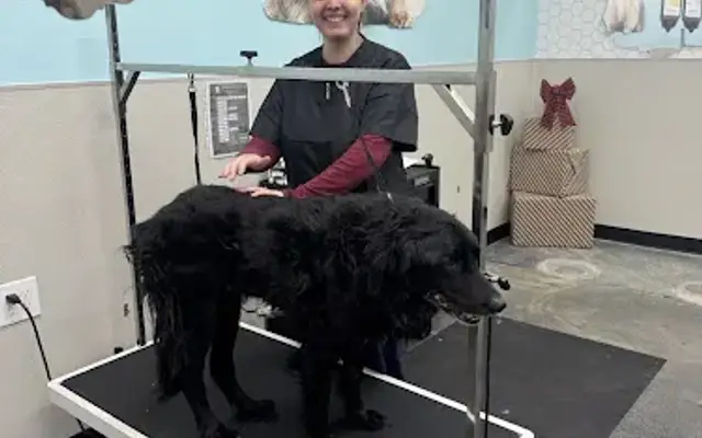 Pet Supplies Plus Port Jefferson Station Grooming in Port Jefferson Station, NY