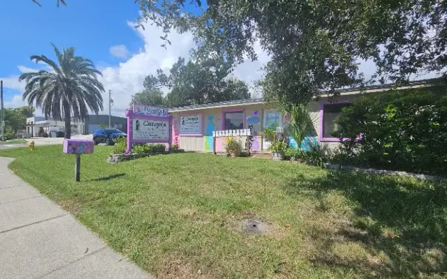 Catopia in Jacksonville Beach, FL