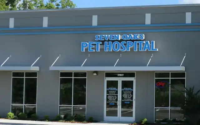 Seven Oaks Pet Hospital Wesley Chapel in Wesley Chapel, FL