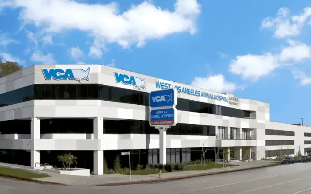 VCA West Los Angeles Animal Hospital in Los Angeles, CA