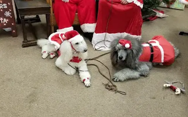 Roses Pet Grooming And Boarding in Point Pleasant, WV