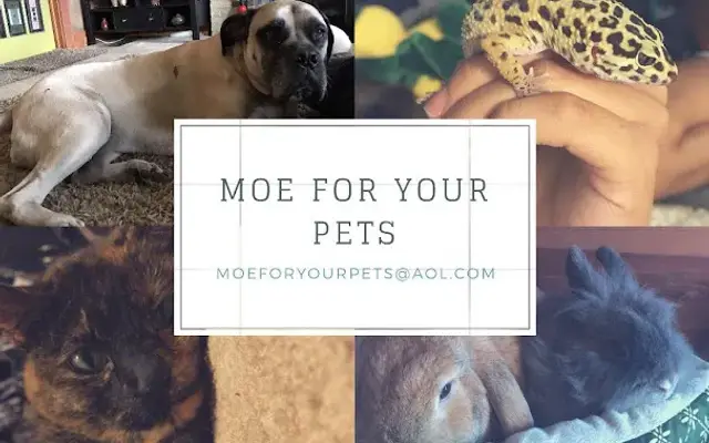 Moe For Your Pets in Howard, PA