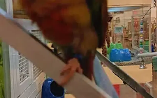 PetSmart Grooming in Philadelphia, PA