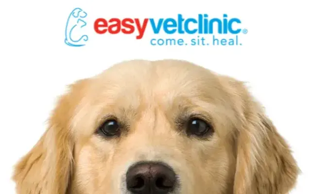 easyvet Veterinarian McKinney in McKinney, TX
