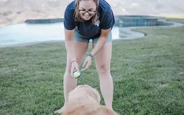 Cassidys Custome Pet Services in Temecula, CA