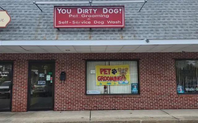 You Dirty Dog in North Billerica, MA