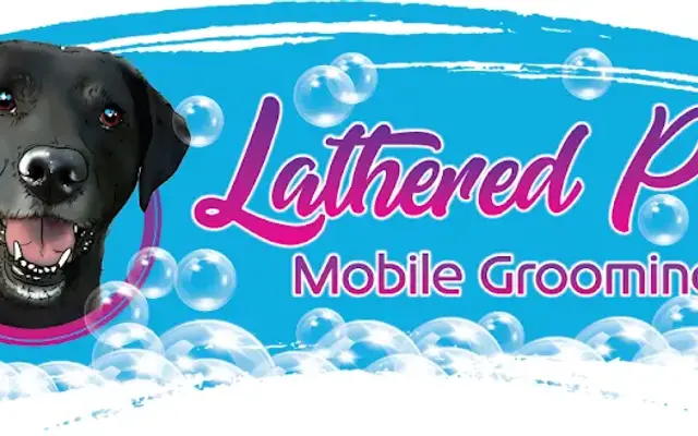 Lathered Pup Mobile Grooming in Torrance, CA
