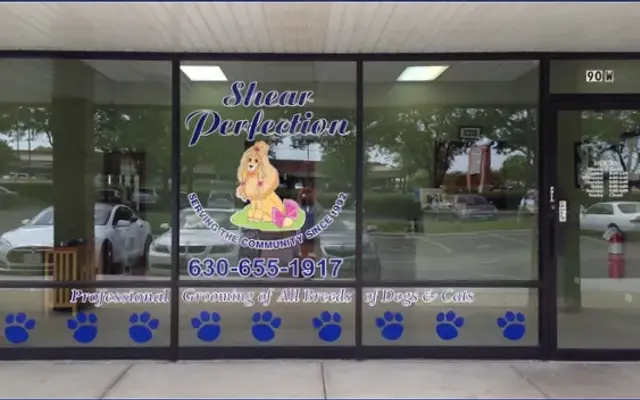 Shear Perfection in Willowbrook, IL