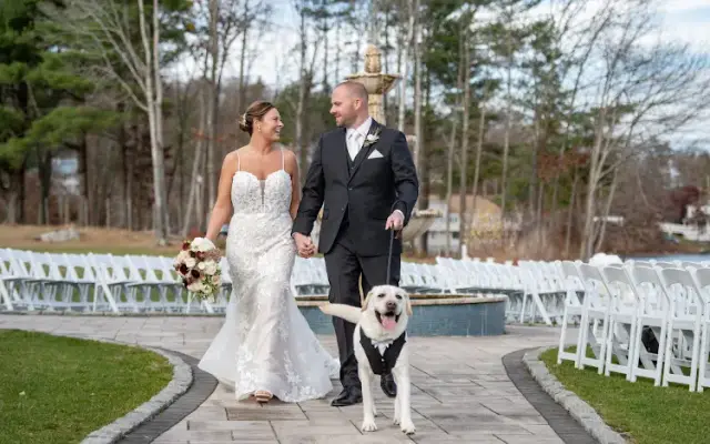 For the Love of Paws in Auburndale, MA