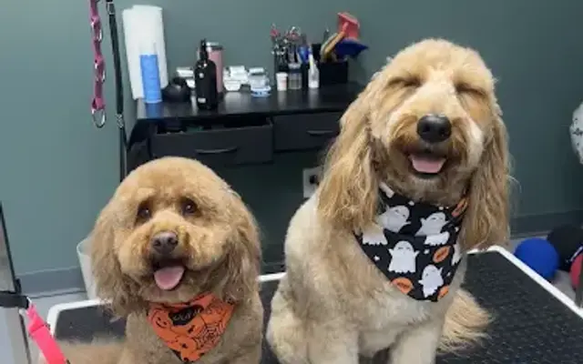 Bark’s Boutique Grooming Salon in Southport, NC