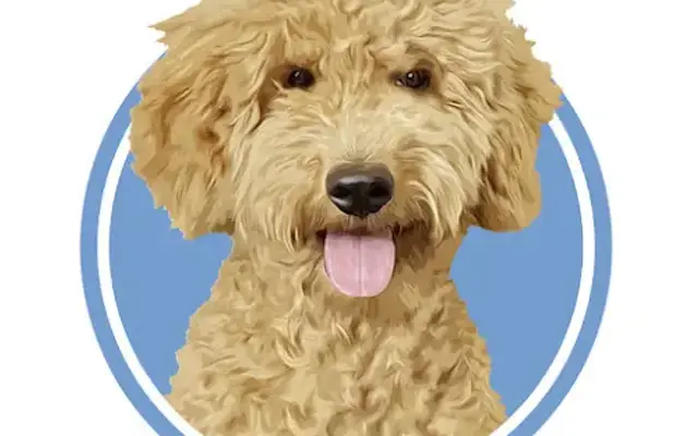 Wholesome Grooming Academy in Georgetown, TX