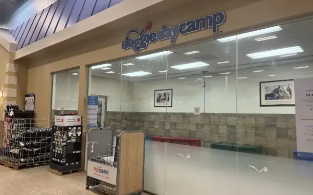 PetSmart in Webster, TX